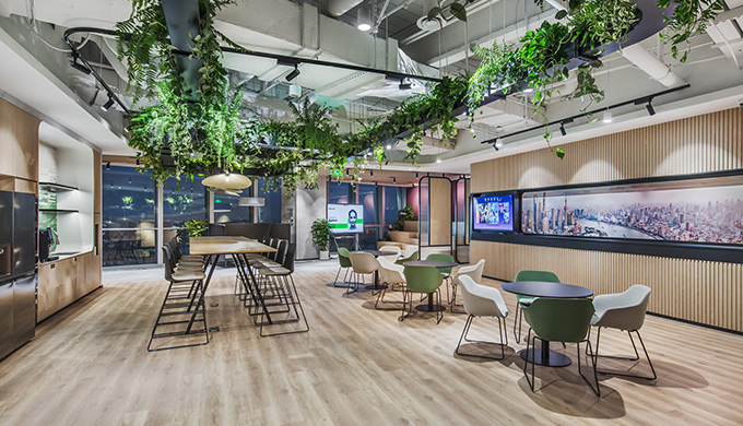 辦公室裝修綠植設(shè)計(jì)的重要性 
