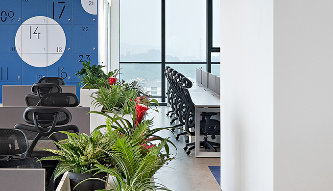 小型辦公室竣工效果