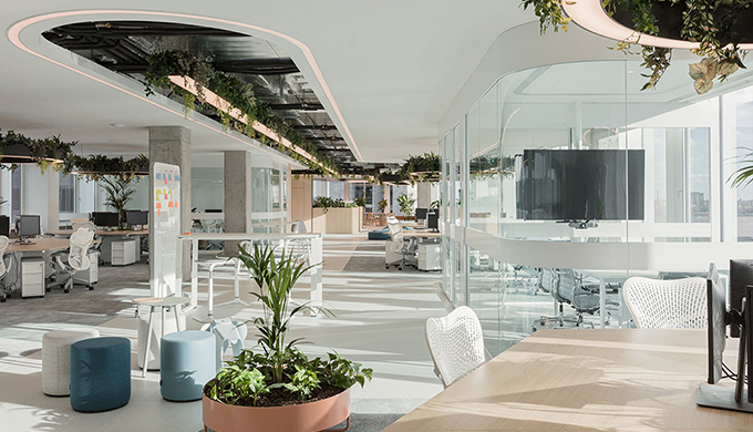 上海小型辦公室裝修綠化的應(yīng)用